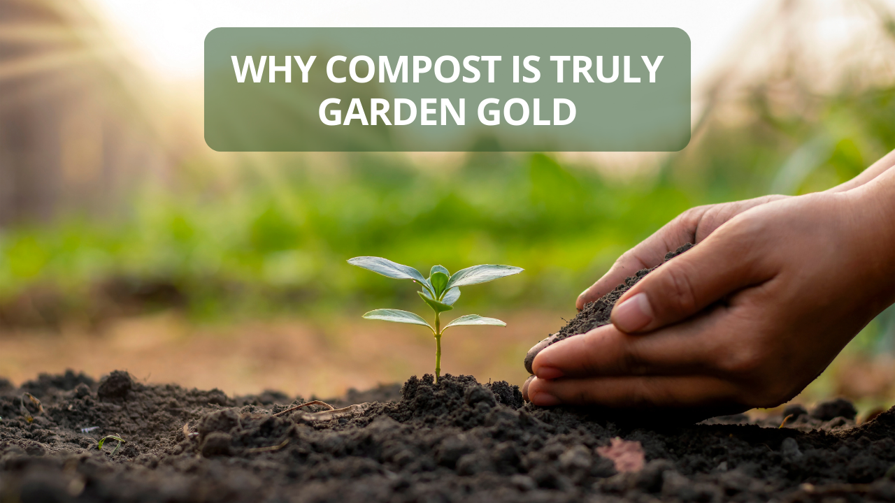 Compost Benefits